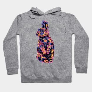 Splatter Bunny Hoodie